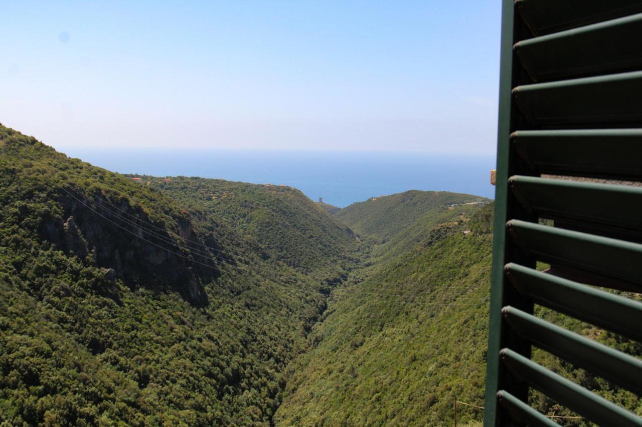 Affittacamere Pantaleone Camerota Esterno foto